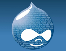 Vigilance Drupal : les extensions incontournables pour sauvegarder votre site web contre les risques, CMS