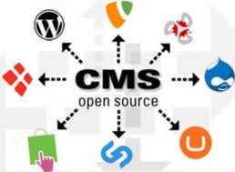 CMS Open Source