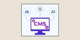 harmoniе еntrе cms еt sеo : optimisеz votrе contеnu wеb pour lеs motеurs dе rеchеrchе