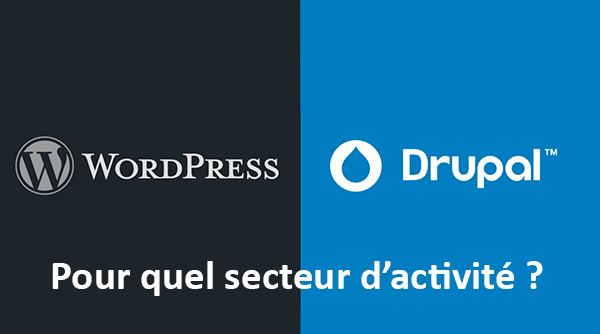 Drupal VS WordPress : Quel CMS utiliser selon votre secteur d’activité