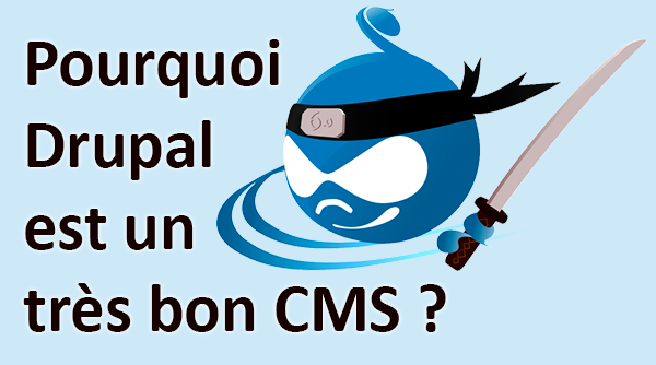 Pourquoi Drupal est un très bon CMS ?
