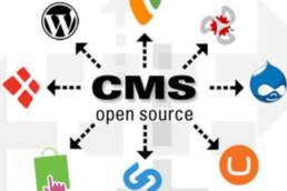CMS Open Source