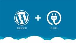 WordPress Plugins