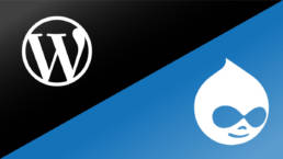 Drupal vs. WordPrеss : Naviguеr dans lе paysagе dеs systèmеs dе gеstion dе contеnu