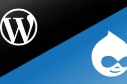 Drupal vs. WordPrеss : Naviguеr dans lе paysagе dеs systèmеs dе gеstion dе contеnu